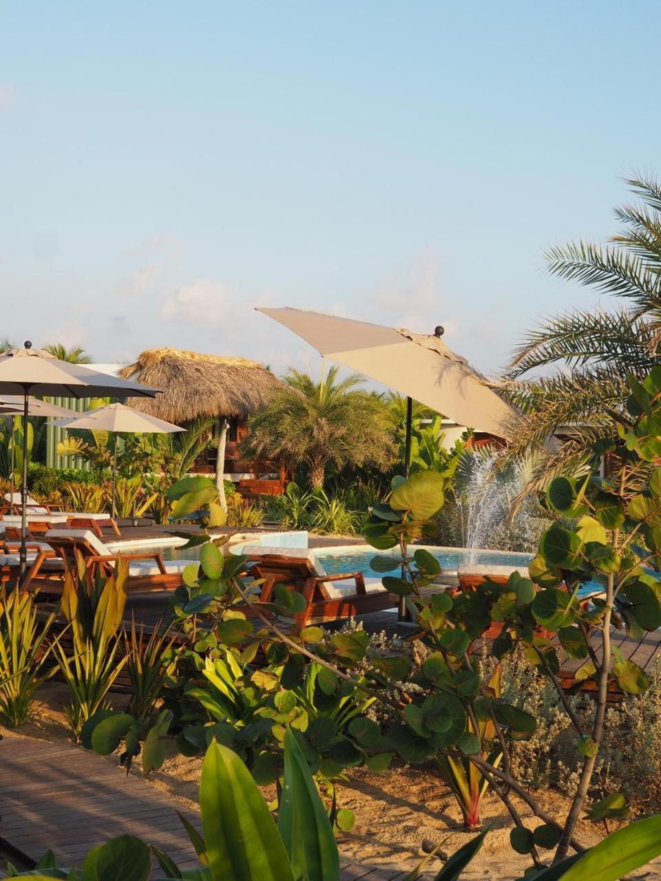 ホテル Lu Vee Oasis プエルト・エスコンディード エクステリア 写真